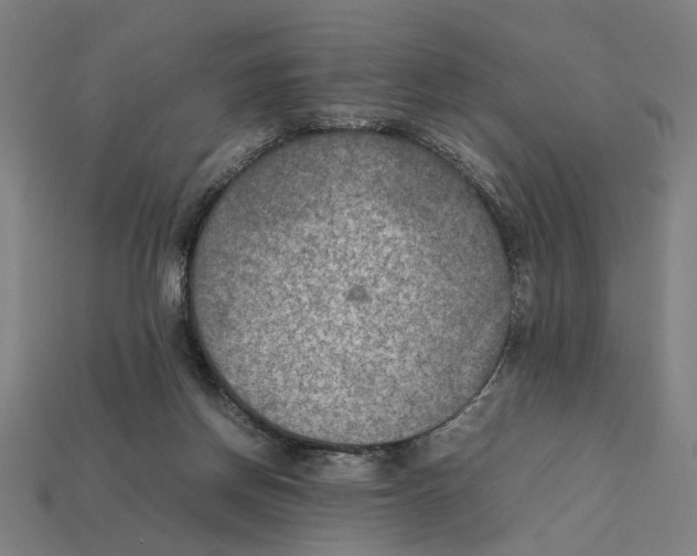 X0000112410166200909110957