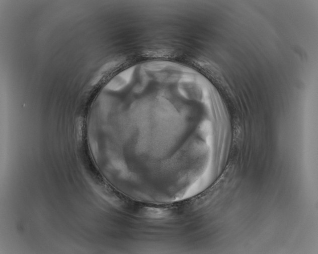 X0000112410167200909110957