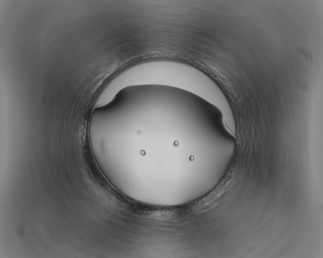 X0000112410168200909110957