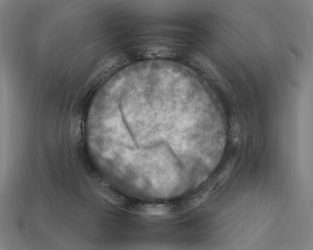 X0000112410169200909110957