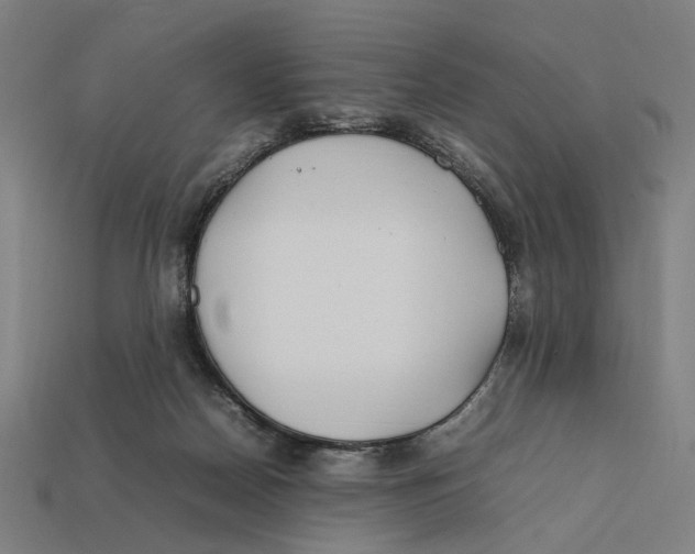 X0000112410170200909110957