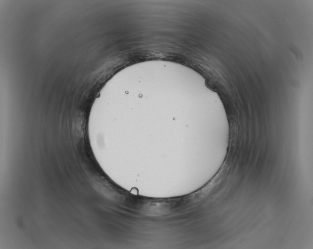 X0000112410174200909110957