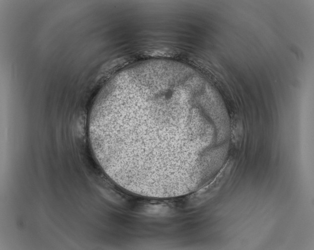 X0000112410175200909110957