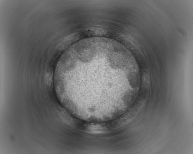 X0000112410177200909110957