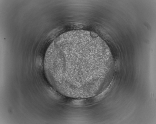 X0000112410178200909110957