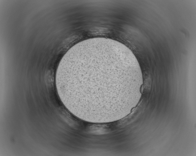 X0000112410179200909110957