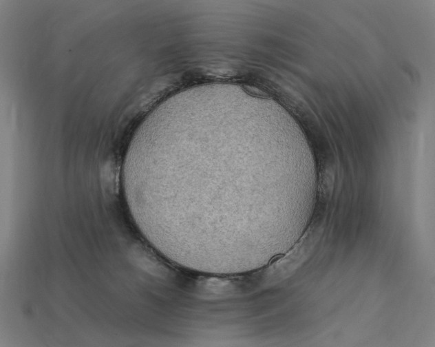 X0000112410180200909110957