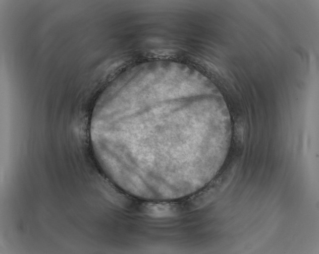 X0000112410181200909110957