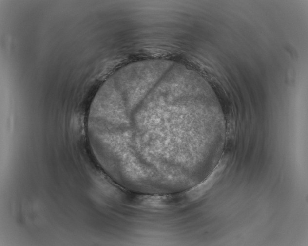 X0000112410182200909110957