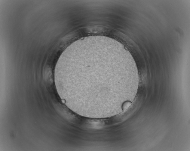 X0000112410187200909110957