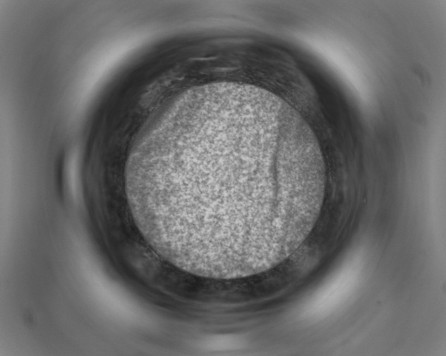 X0000112410189200909110957