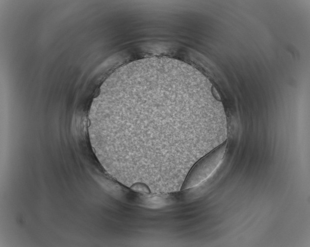 X0000112410191200909110957
