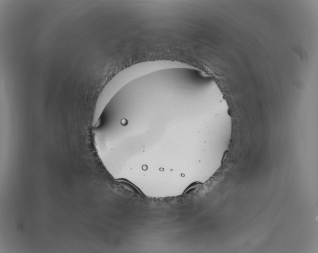 X0000112410192200909110957