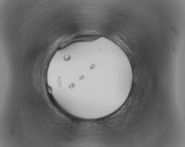X0000112410193200909110957