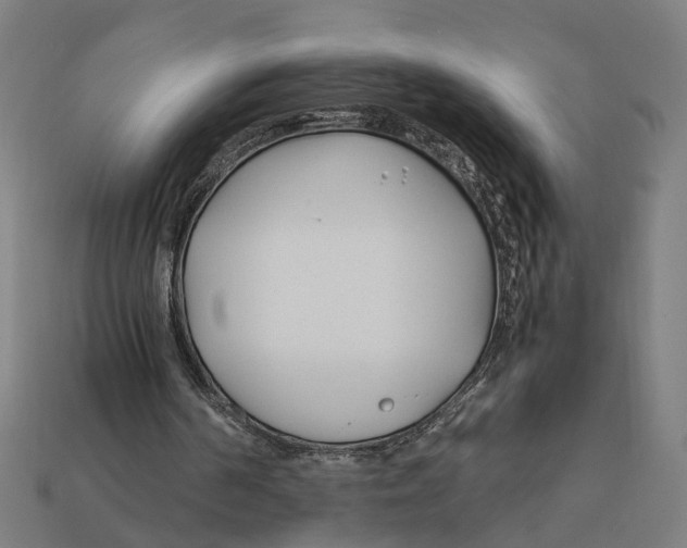 X0000112410194200909110957