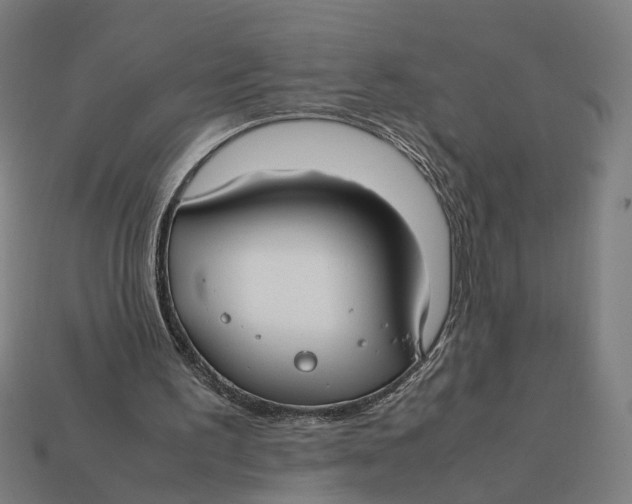 X0000112410195200909110957