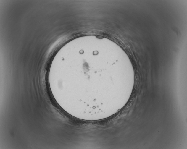 X0000112410197200909110957