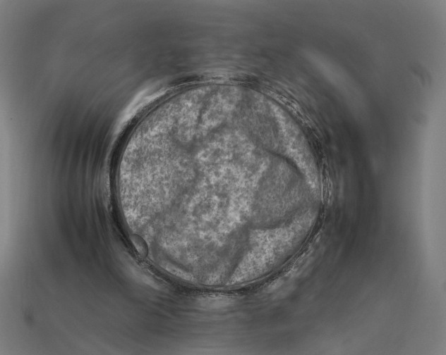 X0000112410198200909110957