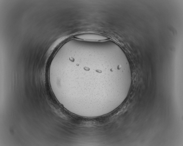 X0000112410200200909110957
