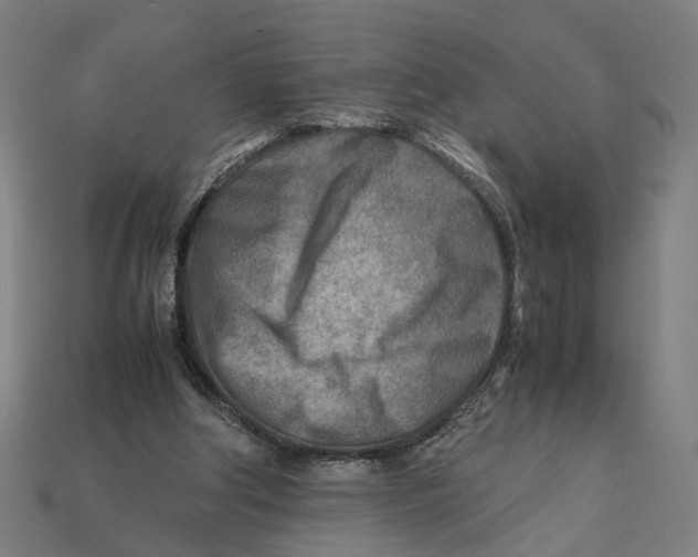 X0000112410202200909110957