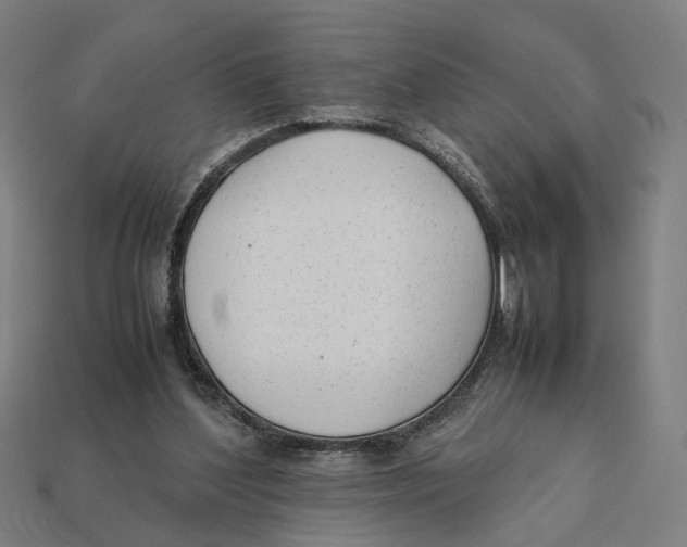 X0000112410204200909110956