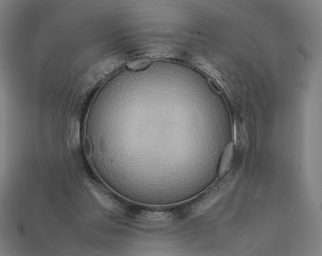 X0000112410205200909110956