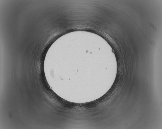 X0000112410207200909110956