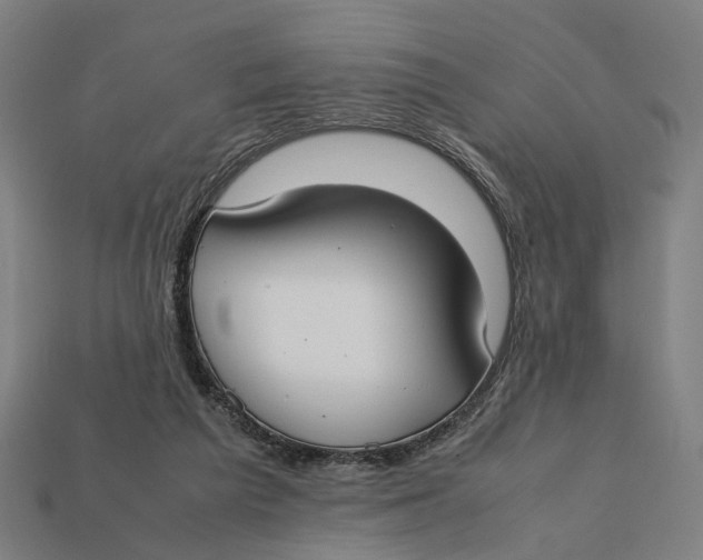 X0000112410209200909110956