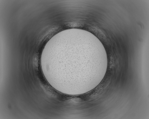 X0000112410210200909110956