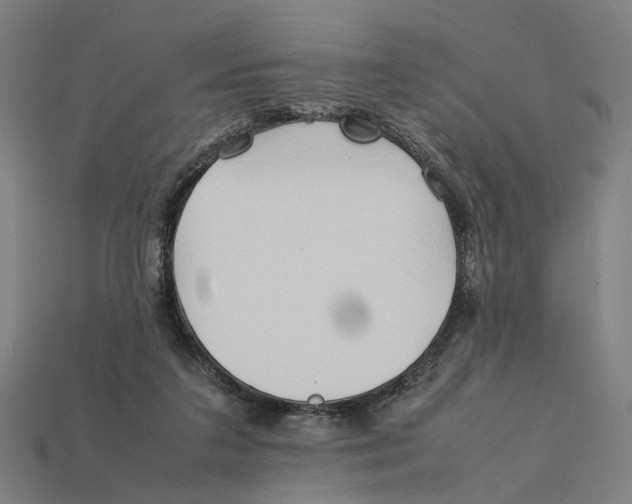 X0000112410211200909110956