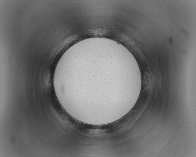 X0000112410212200909110956