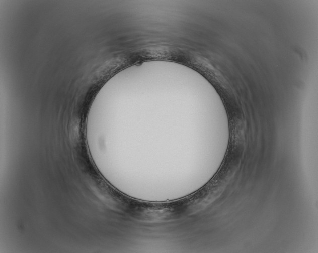 X0000112410213200909110956