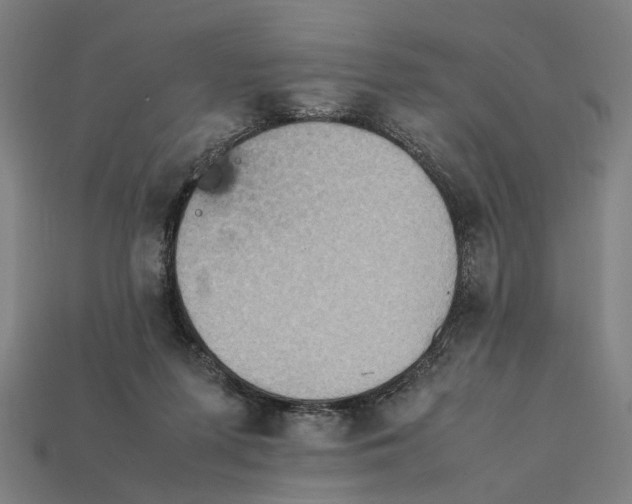 X0000112410215200909110956