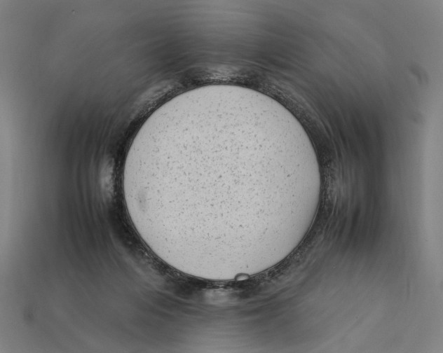 X0000112410216200909110956