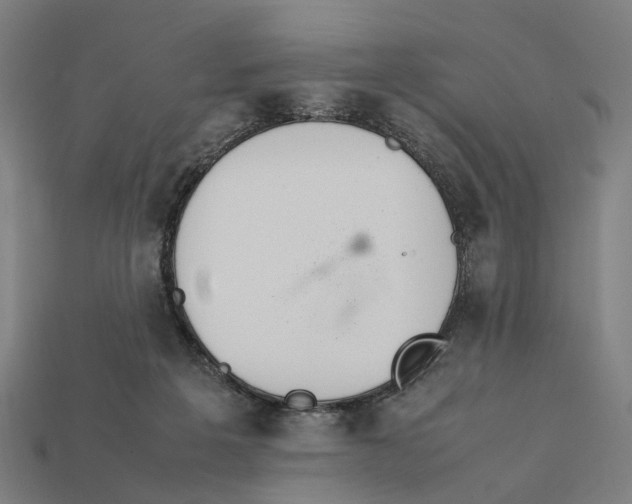 X0000112410217200909110956
