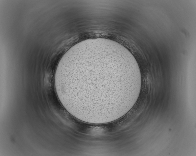 X0000112410218200909110956