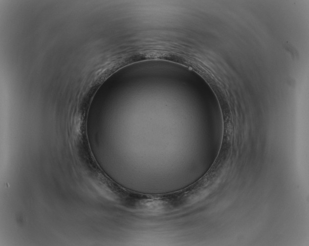 X0000112410219200909110956