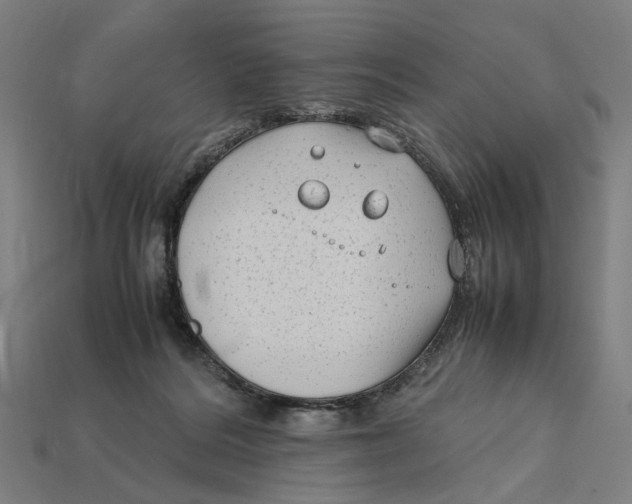 X0000112410220200909110956