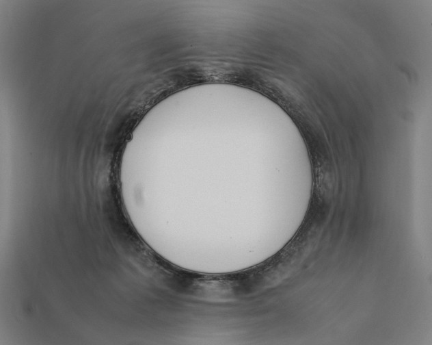 X0000112410221200909110956