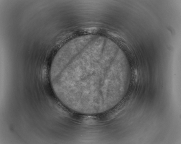 X0000112410222200909110956