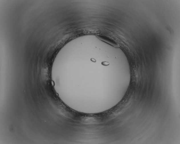 X0000112410224200909110956
