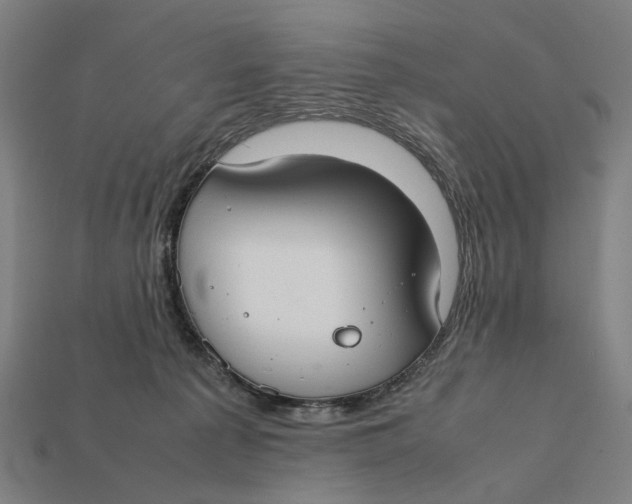 X0000112410225200909110956