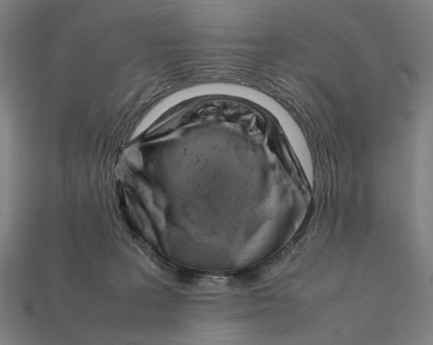 X0000112410227200909110956