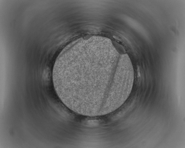 X0000112410228200909110956