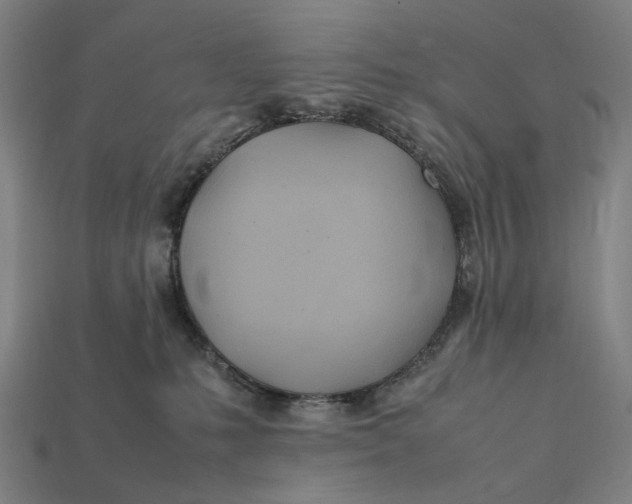 X0000112410231200909110956