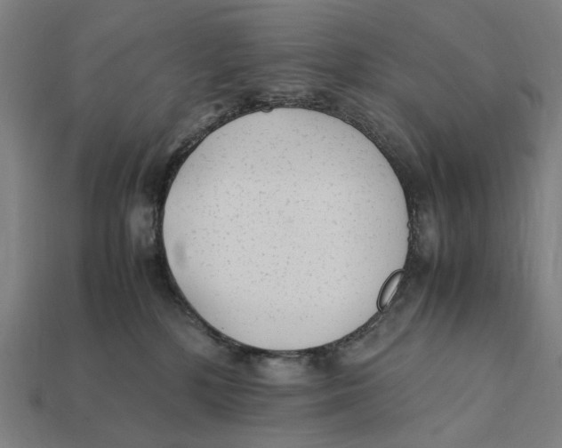 X0000112410232200909110956