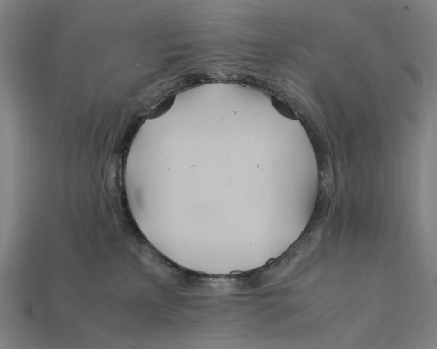 X0000112410233200909110956
