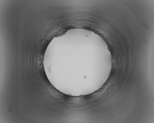 X0000112410237200909110956