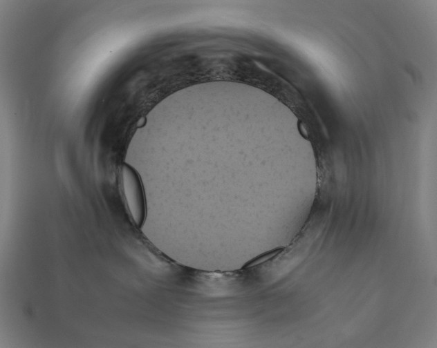 X0000112410239200909110956