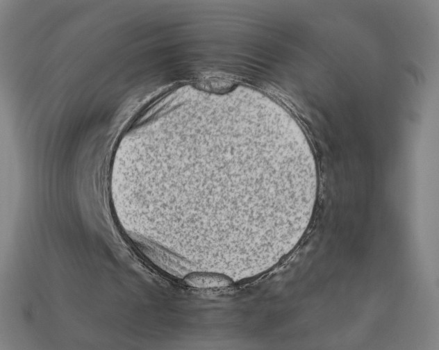 X0000112410241200909110955